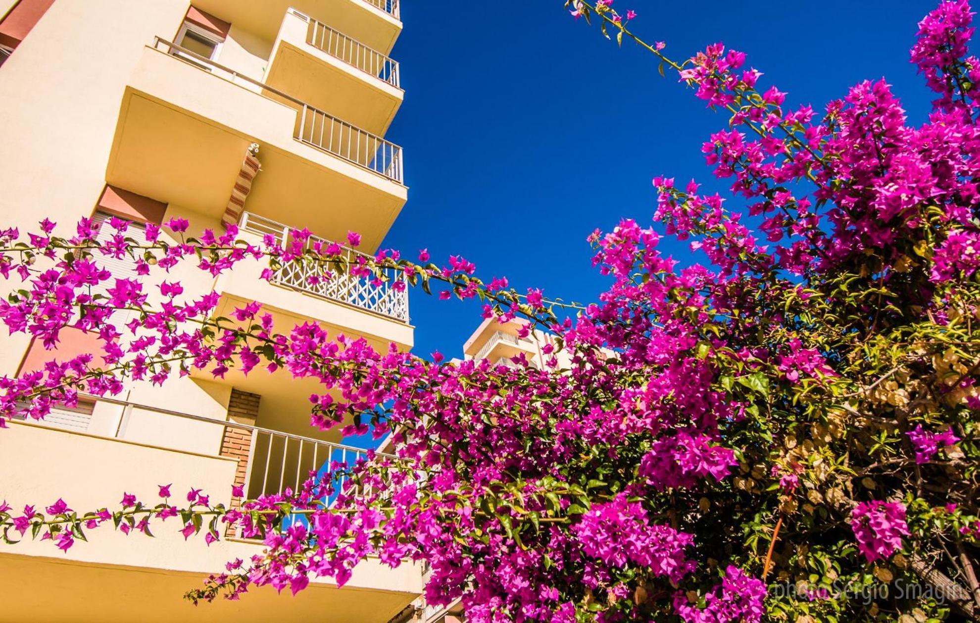 908 Minerva Apartamentos - Vistas Al Mar - Piscina Y Playa Benalmádena Eksteriør bilde